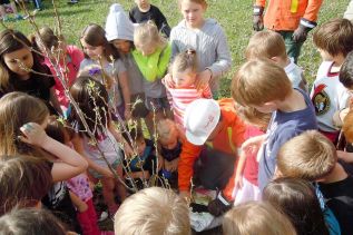 Students at Land O' Lakes PS help plant two large trees as part of Hydro One's Arbour Week presentation on May 5